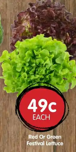 Spudshed Red Or Green Festival Lettuce offer