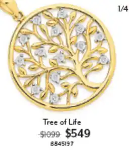 Angus & Coote Tree of Life offer