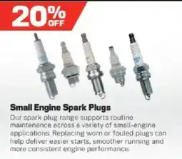 Repco Small Engine Spark Plugs offer
