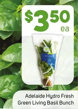 Foodland Adelaide Hydro Fresh Green Living Basil Bunch offer