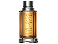 Hugo Boss The Scent for Him 100ml EDT