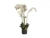 LivingStyles Rahman Artificial Phalaenopsis Orchid in Pot, Small offer