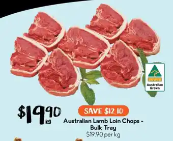 Australian Lamb Loin Chops