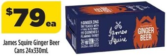 Liquorland James Squire Ginger Beer Cans 24x330ml offer