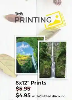 Teds Cameras 8x12" Prints offer