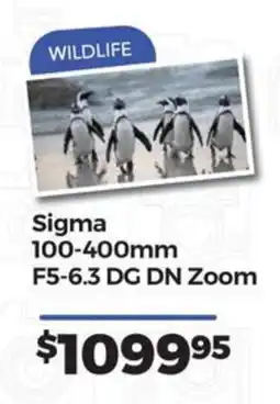 Teds Cameras Sigma 100-400mm F5-6.3 DG DN Zoom offer