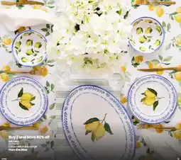 Myer Heritage Citrus Melamine range offer