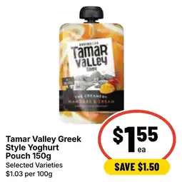 Ritchies Tamar Valley Greek Style Yoghurt Pouch offer