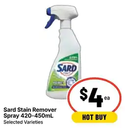 Ritchies Sard Stain Remover Spray offer