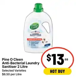 Ritchies Pine O Cleen Anti-Bacterial Laundry Sanitiser offer