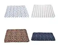 BIG W Brillant Basics Pet Blanket 70cm x 100cm offer