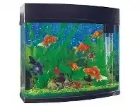BIG W Marine Masters Fish Tank 20-Litre offer