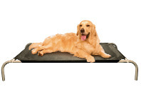 BIG W Total Care Dreamtime Large Dog Bed offer