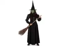 The Party People Shop Adult Costume - Karnival, Wicked Witch offer