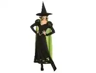 Adult Costume - Wicked Witch