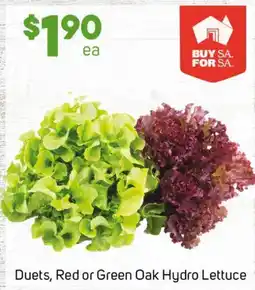 Foodland Duets, Red or Green Oak Hydro Lettuce offer