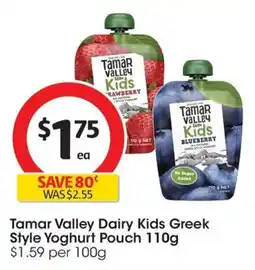 Coles Tamar Valley Dairy Kids Greek Style Yoghurt Pouch offer