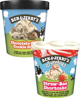 Coles Ben & Jerry's Ice Cream Tub-458mL offer