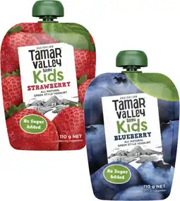 Coles Tamar Valley Dairy Kids Greek Style Yoghurt Pouch offer