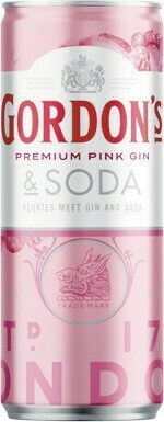 Woolworths Gordon’s Pink Gin & Soda Cans 4x250ml offer