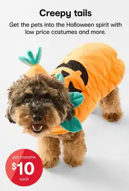 Kmart pet costume offer