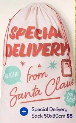 BIG W Special Delivery Sack offer