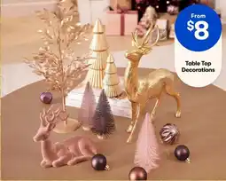BIG W Table Top Decorations offer