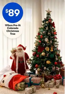 BIG W Colorado Christmas Tree offer