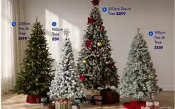 BIG W Pre-lit Tree offer