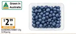 Supabarn Blueberries Punnet offer