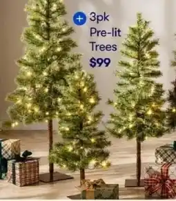 BIG W 3pk Pre-lit Trees offer