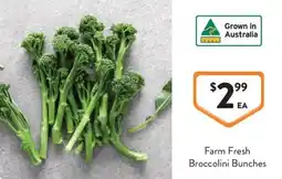 Foodworks Farm Fresh Broccolini Bunches offer