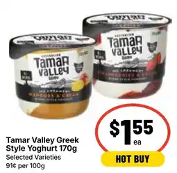 Ritchies Tamar Valley Greek Style Yoghurt offer