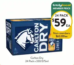 Foodworks Carlton Dry offer