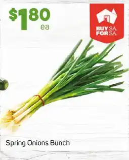 Foodland Spring Onions Bunch offer