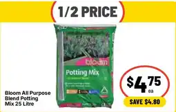 Ritchies Bloom All Purpose Blend Potting Mix offer