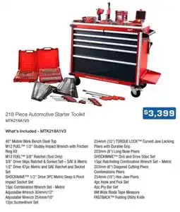 Burson Auto Parts 218 Piece Automotive Starter Toolkit offer
