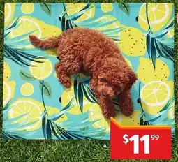 ALDI Pet Cooling Mat offer