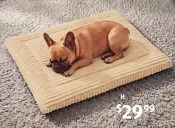 ALDI Memory Foam Dog Mat offer
