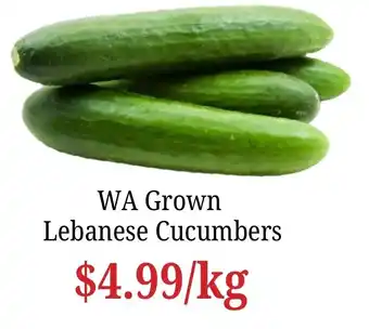 WA Grown Lebanese Cucumbers