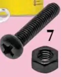 Bunnings Pinnacle M5 x 65mm Round Head Bolts And Nuts In Black Ruspert offer