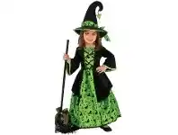 The Party People Shop Child Costume - Green Witch offer