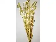 The Party People Shop Decorative Pick - Number 50 Gold offer