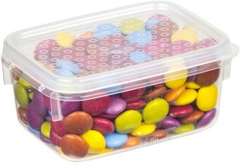 BIG W Décor Tellfresh Oblong Container 250ml offer
