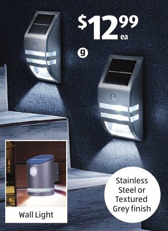 Solar Step Or Wall Light