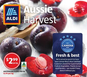 Australian Plums
