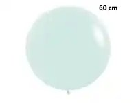 The Party People Shop Balloon - Latex 60 cm, Matte Pastel Green offer