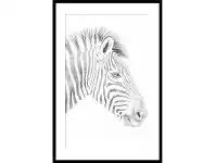 LivingStyles Zebra Photography Wall Art - Large offer