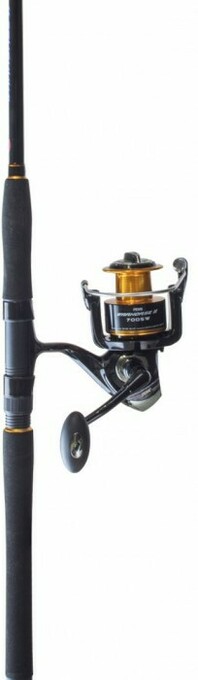Anaconda Penn Warhouse II Spin Combo offer