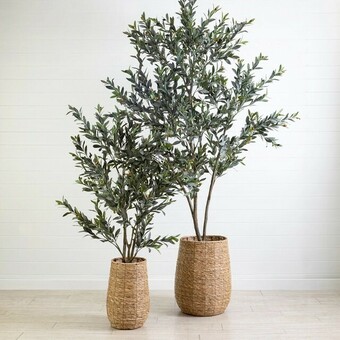 Pillow Talk Olive Tree by M.U.S.E. offer